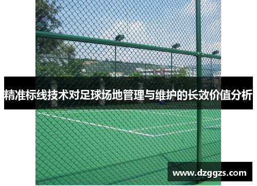 精准标线技术对足球场地管理与维护的长效价值分析